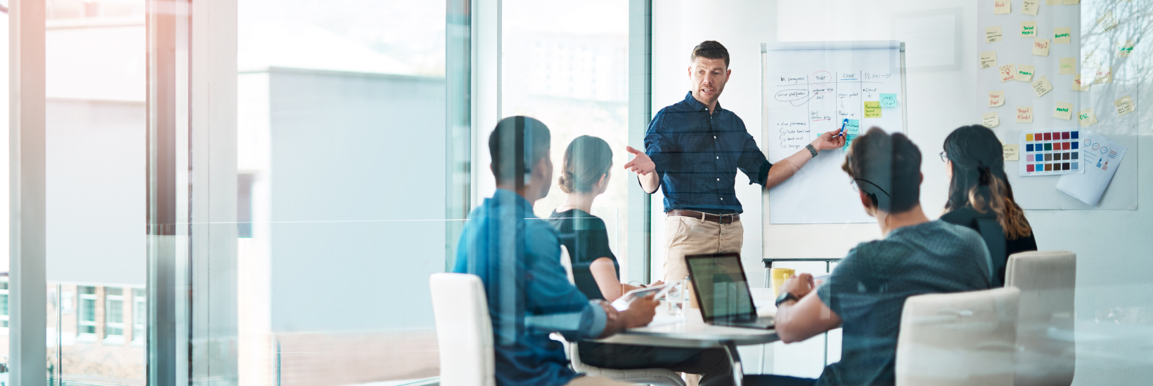 Owner Training and Program Design – professional monitoring services